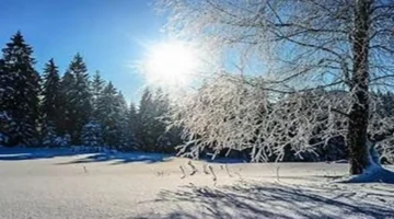 استقرار طقسي يهدأ.. نسمات باردة في المناطق الرئيسية